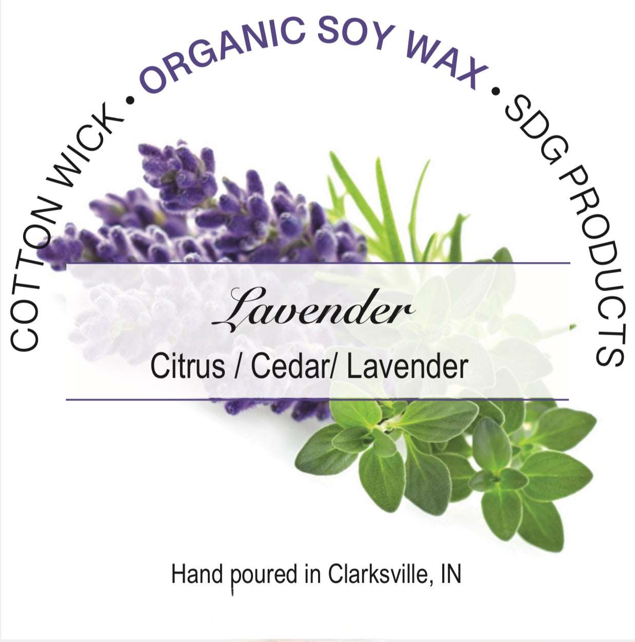 Lavender